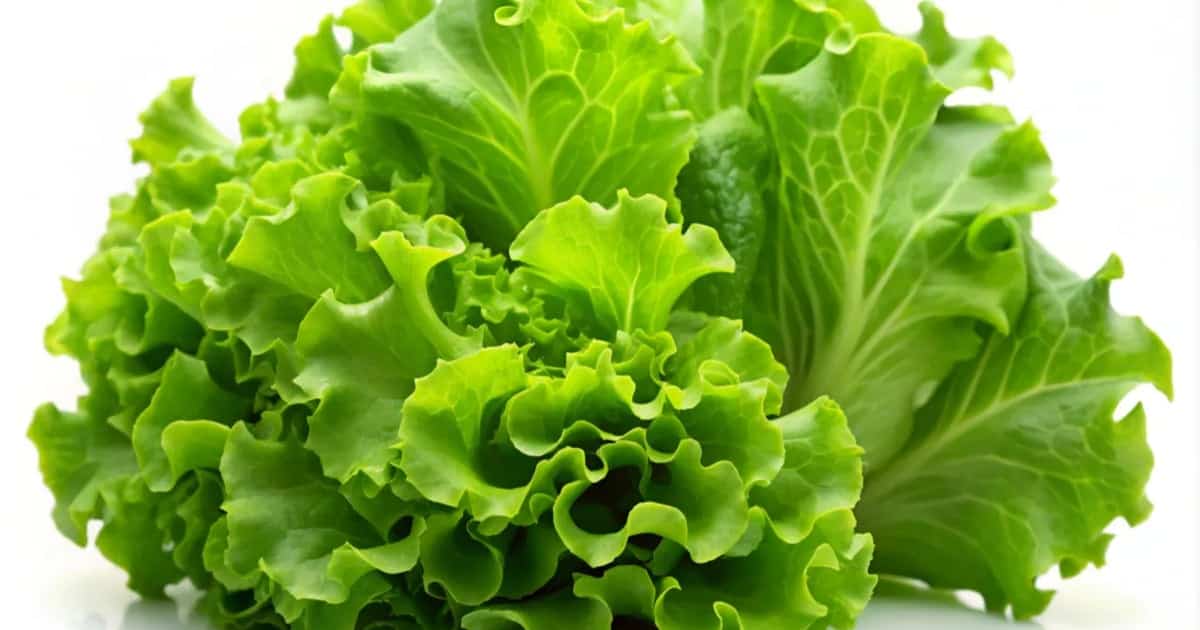 US grocery inflation ticks up to 2.2% annually