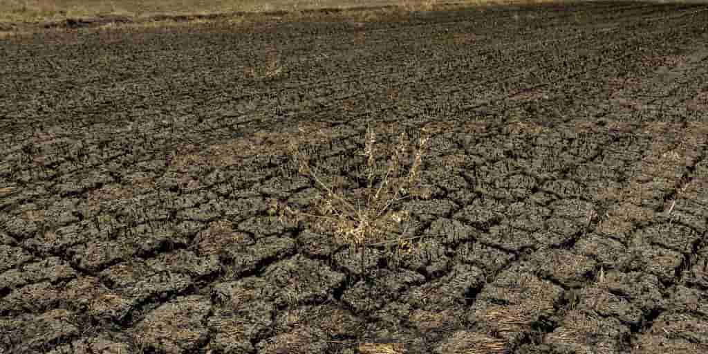 El Nino, AI to widen economic growth gap in developing Asia: ADB