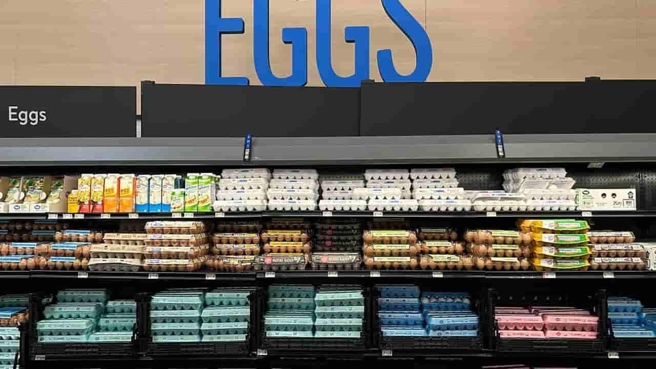 FDA Classifies Egg Recall as Class I, Highest Health Risk