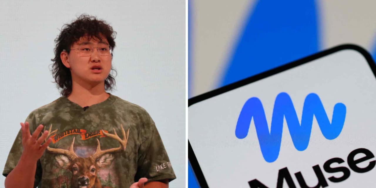 Meta's Muse AI to counter China models with subscribers, not ads: exec