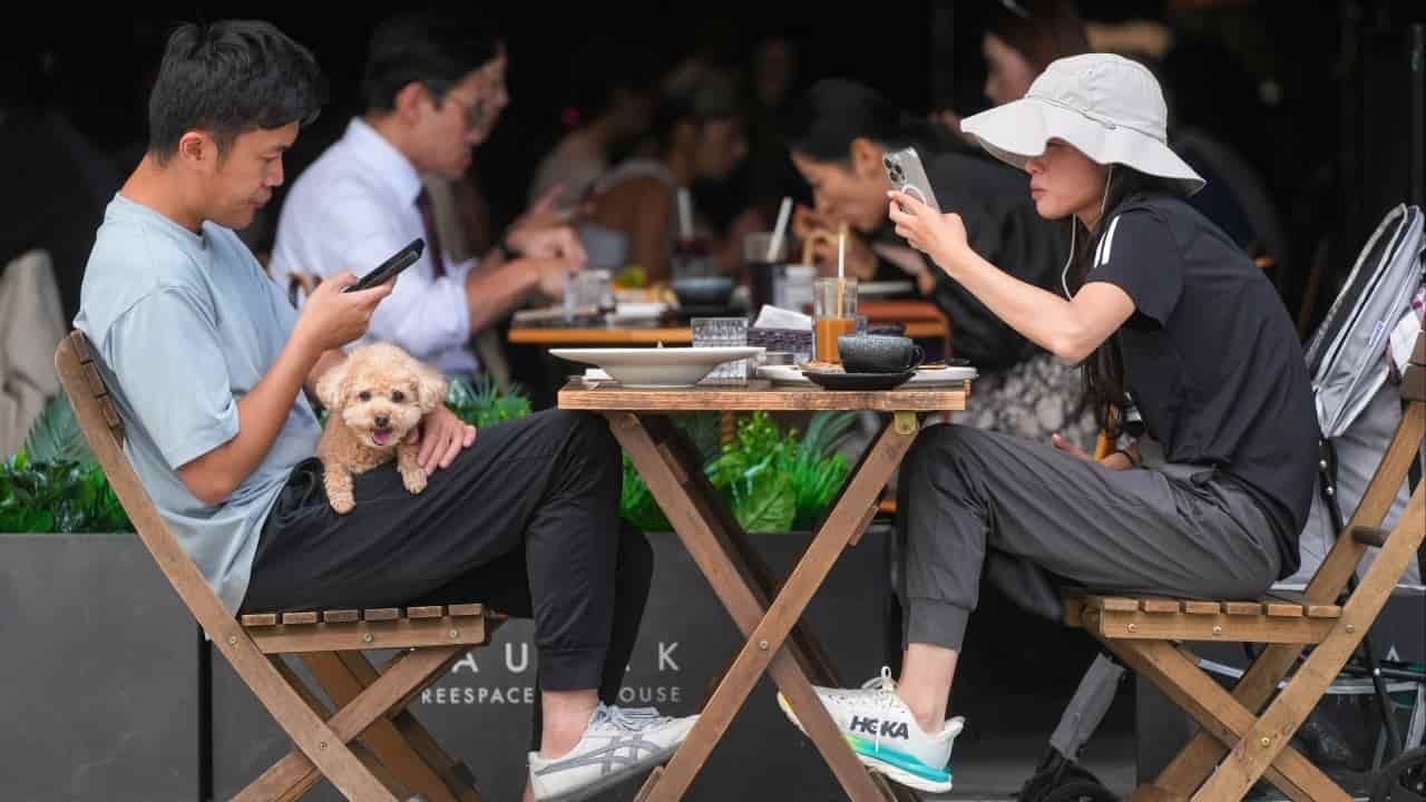 Hong Kong prosecutes 20 restaurants for allowing dogs without permits