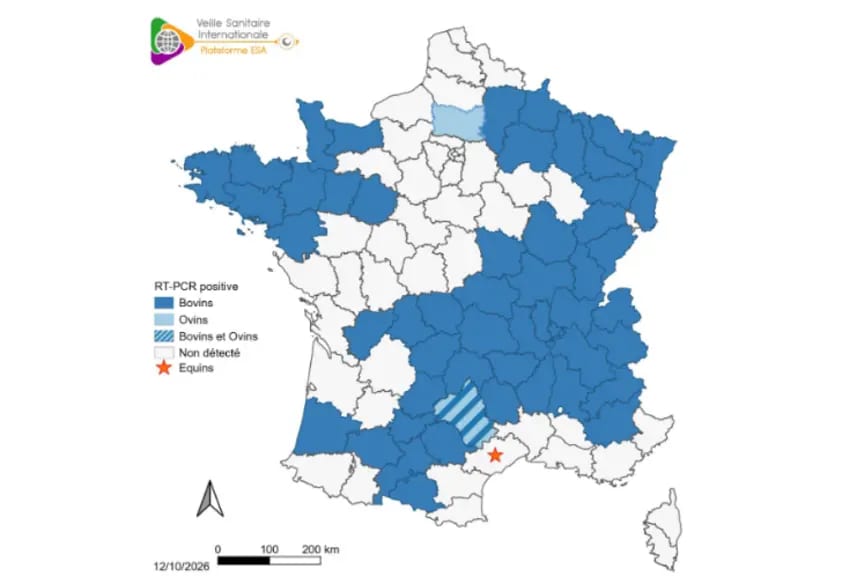 France reports first human Shamonda virus case