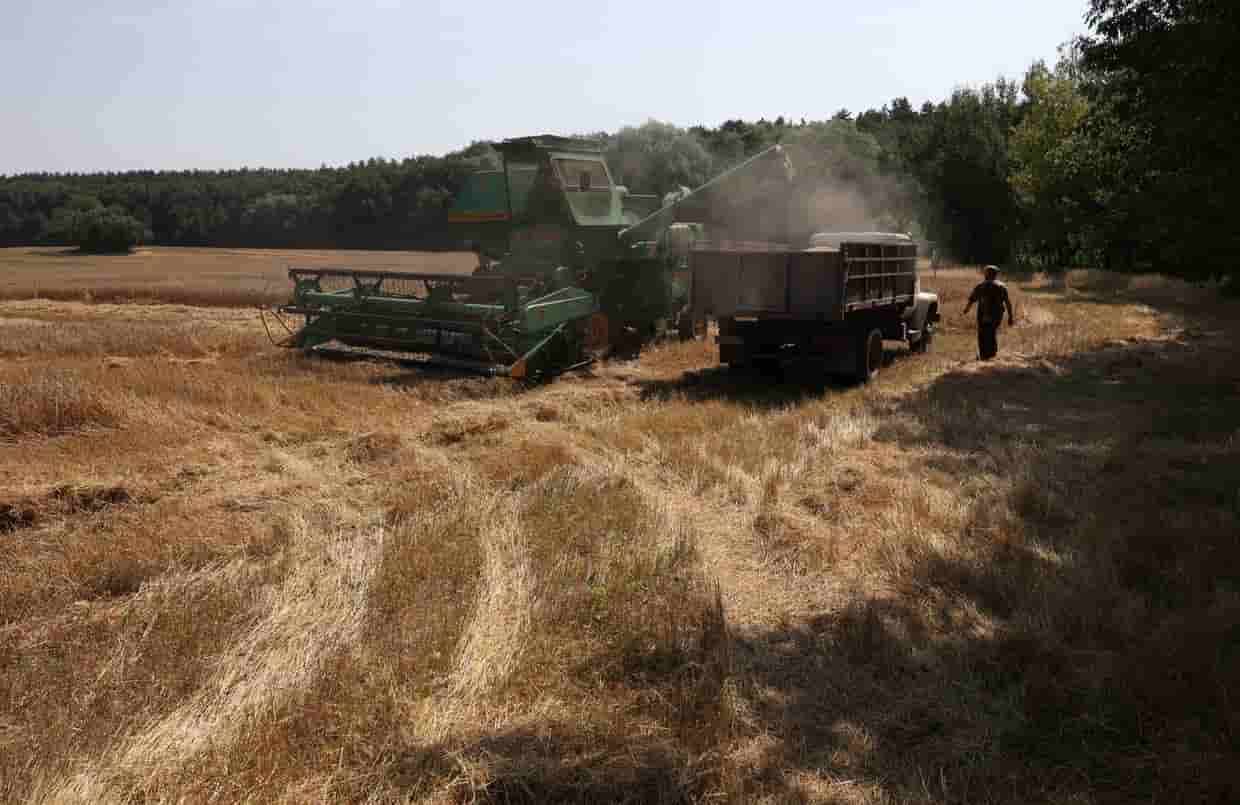 Ukraine backs Baltic call for EU ban on Russian grain transit