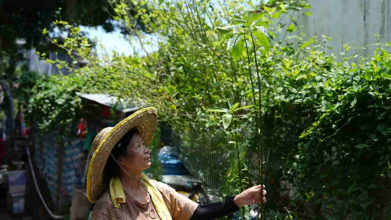 Last villagers prepare to leave Hong Kong's Cha Kwo Ling