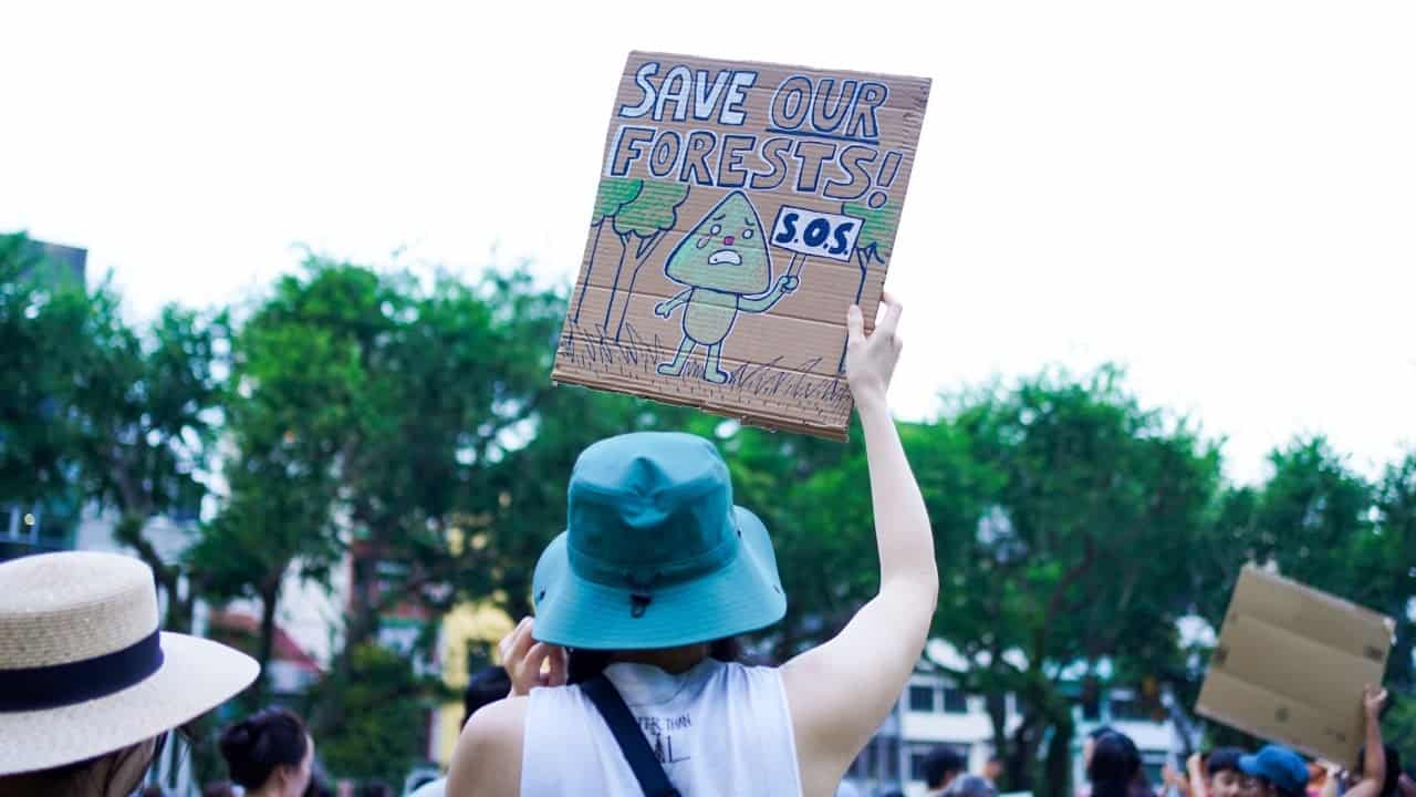 Singaporeans rally for forest protection amid housing development concerns