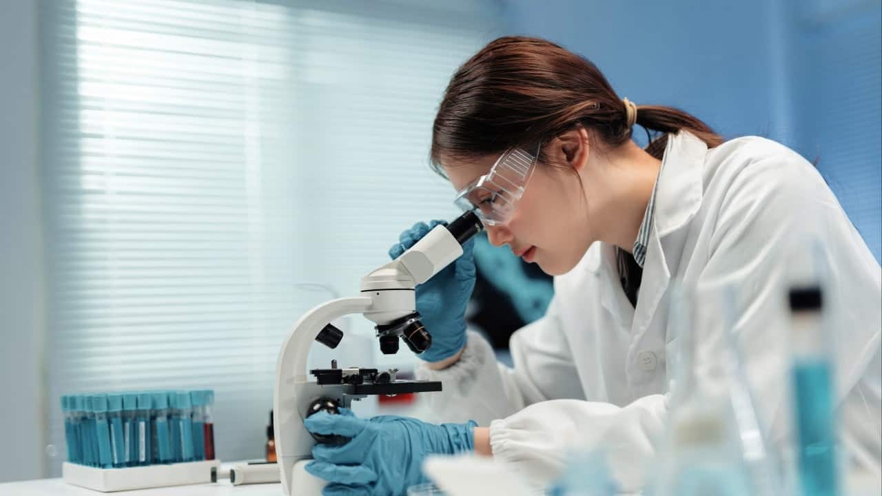 China R&D spending hits record 2.8% of GDP, surpassing OECD average