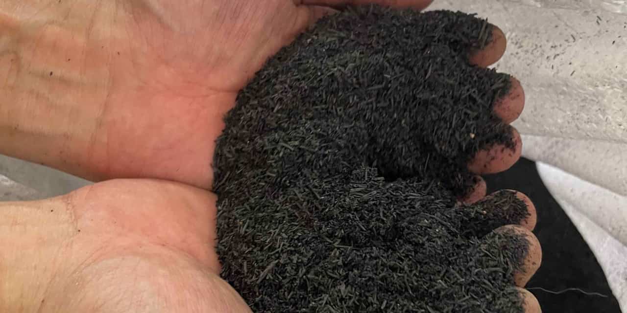 Japanese startup regenerates Thai soil with microbe-based additive