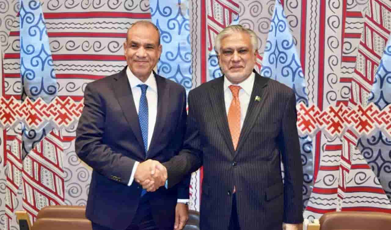 Pakistan, Egypt discuss regional attacks, call for closer consultations