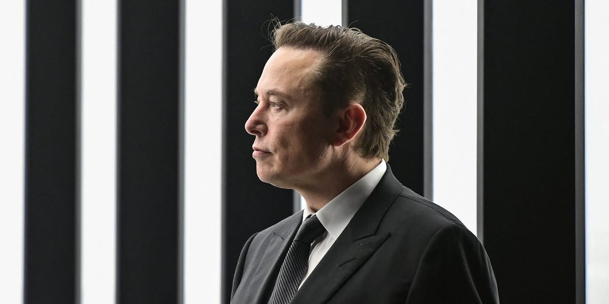 Musk says Tesla robotaxis will avoid pets, unlike Waymo