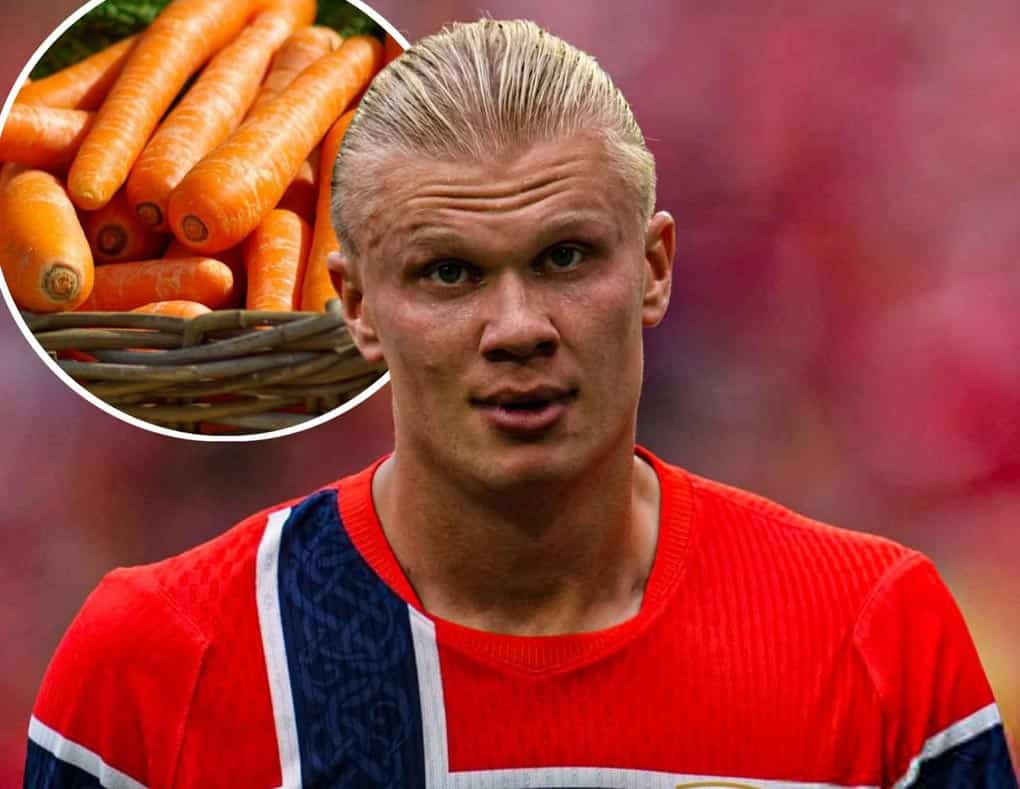 Erling Haaland's carrot habit spurs sales boom in Norway