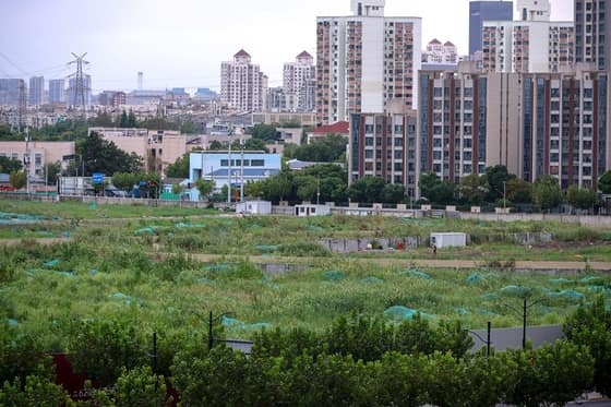 China Fiscal Revenue Falls as Property Market Woes Persist