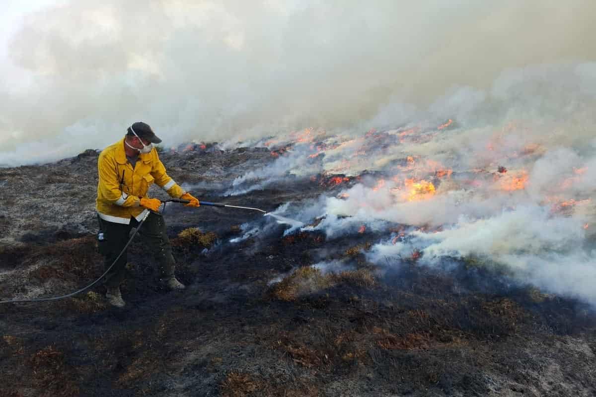 MPs warn Britain unprepared for wildfires, call for planes and BBQ bans