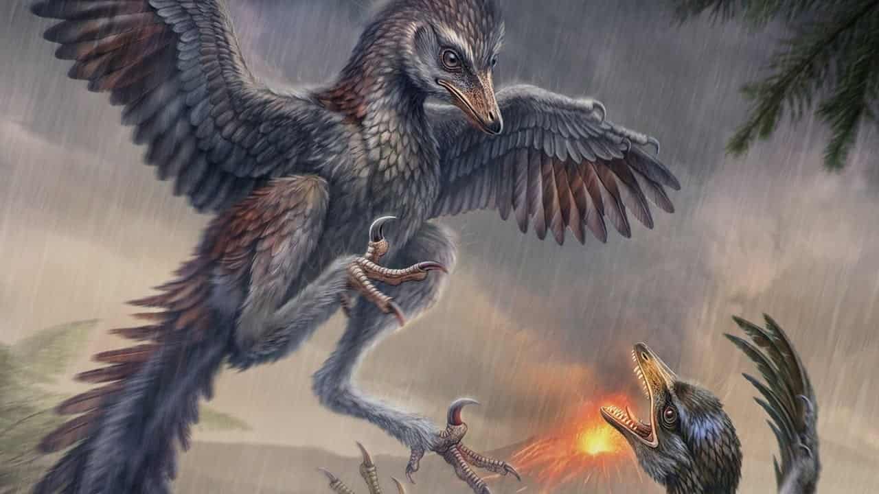 Chinese fossil shows not all early birds evolved to fly