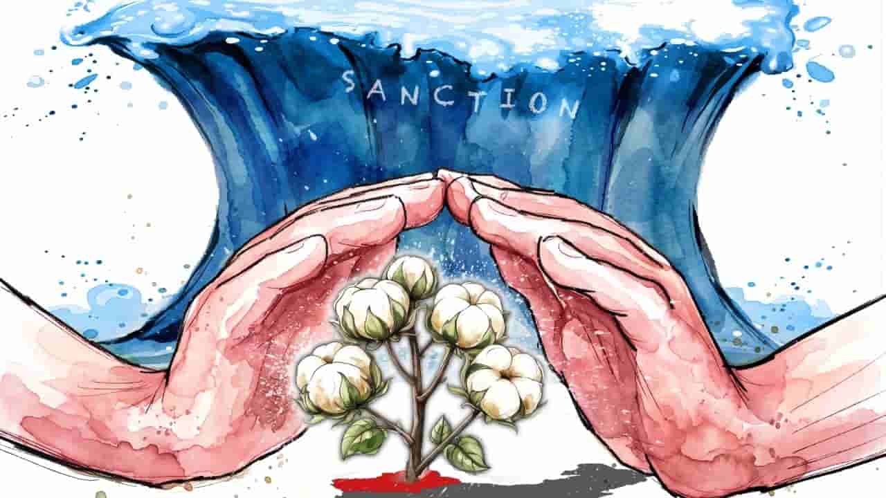 Xinjiang cotton adapts to US sanctions, but at a cost