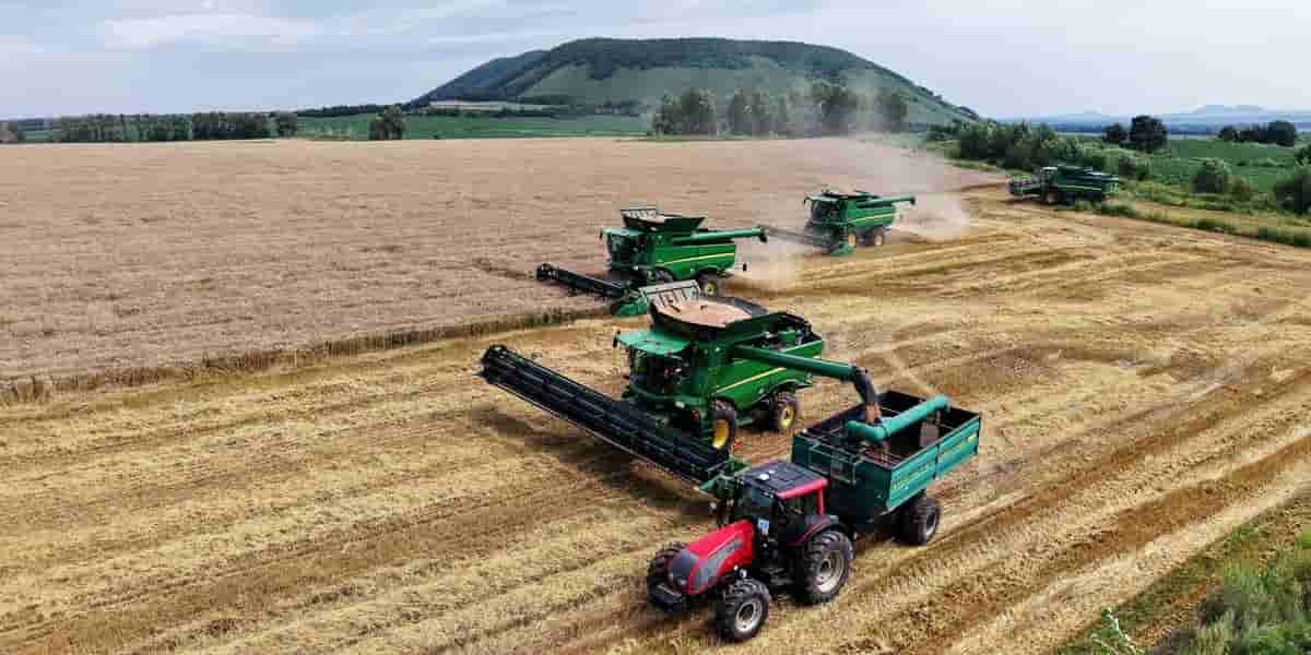 Investors eye agriculture bets amid supply fears and hedging demand
