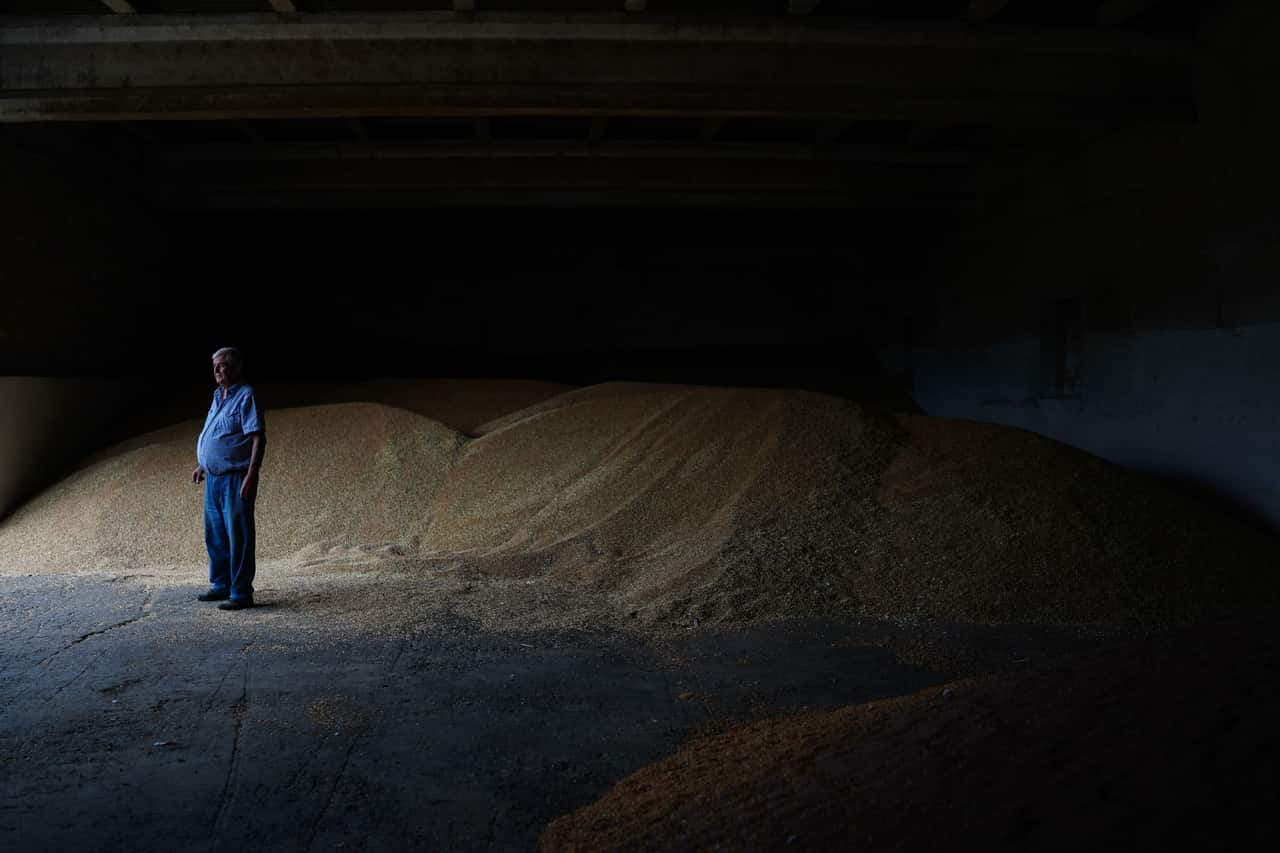 Odesa farmers defy Russian assaults, but harvest remains unsold