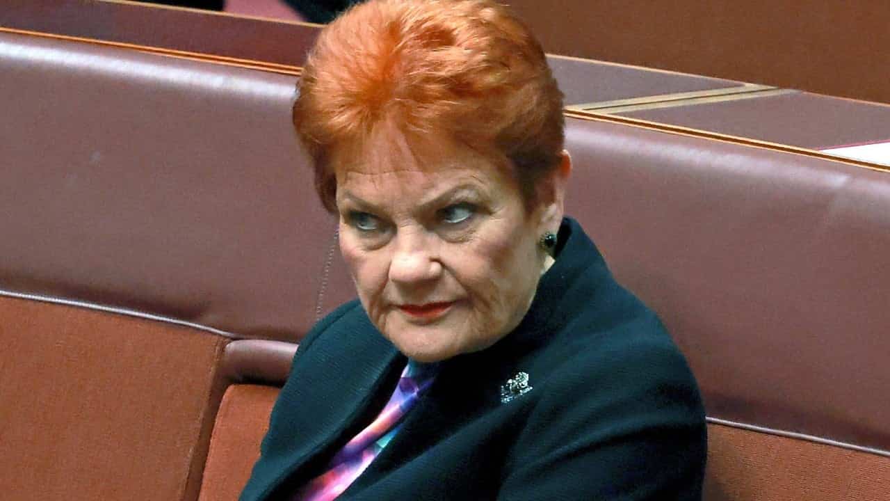Pauline Hanson loses appeal over racial discrimination finding