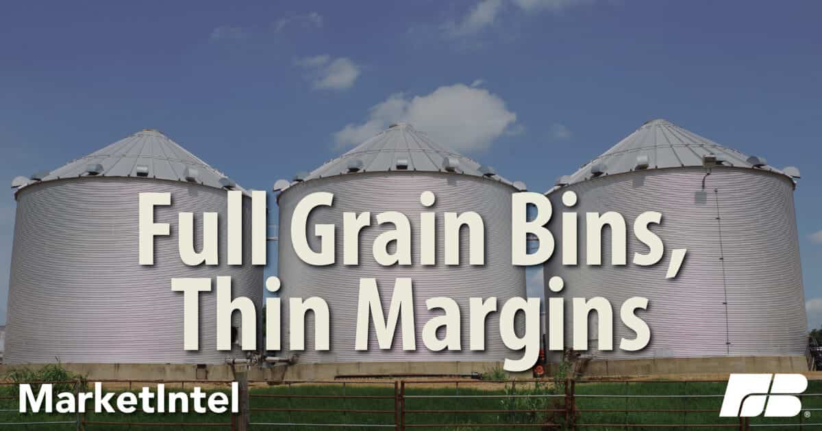 US grain inventories rise ahead of harvest