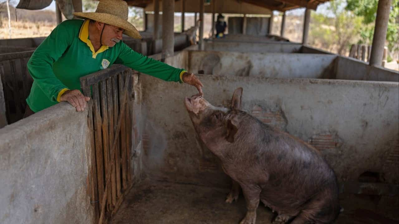Brazil family farmers embrace Chinese AI to reverse sector's decline