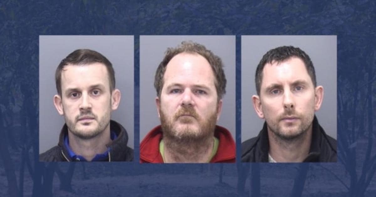 Three jailed for £70m tree-planting investment scam