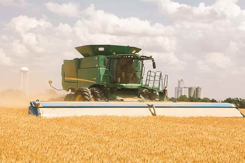 Timely rain alters outlook for world wheat