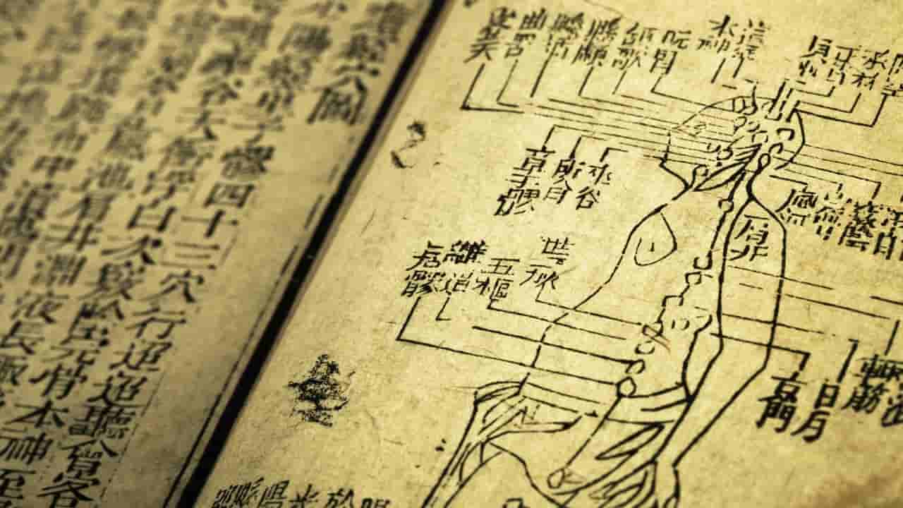 AI aids in deciphering ancient Chinese literature