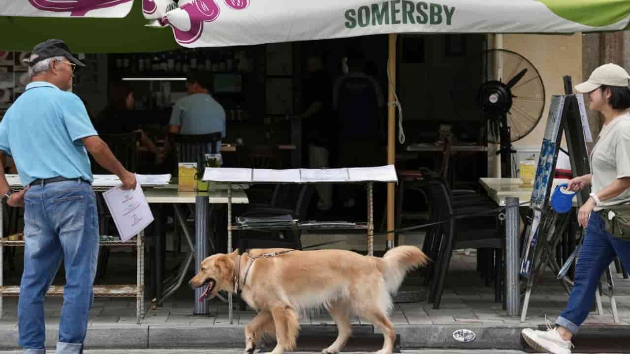 Demand for Dog Genetic Testing Surges After Hong Kong Attacks