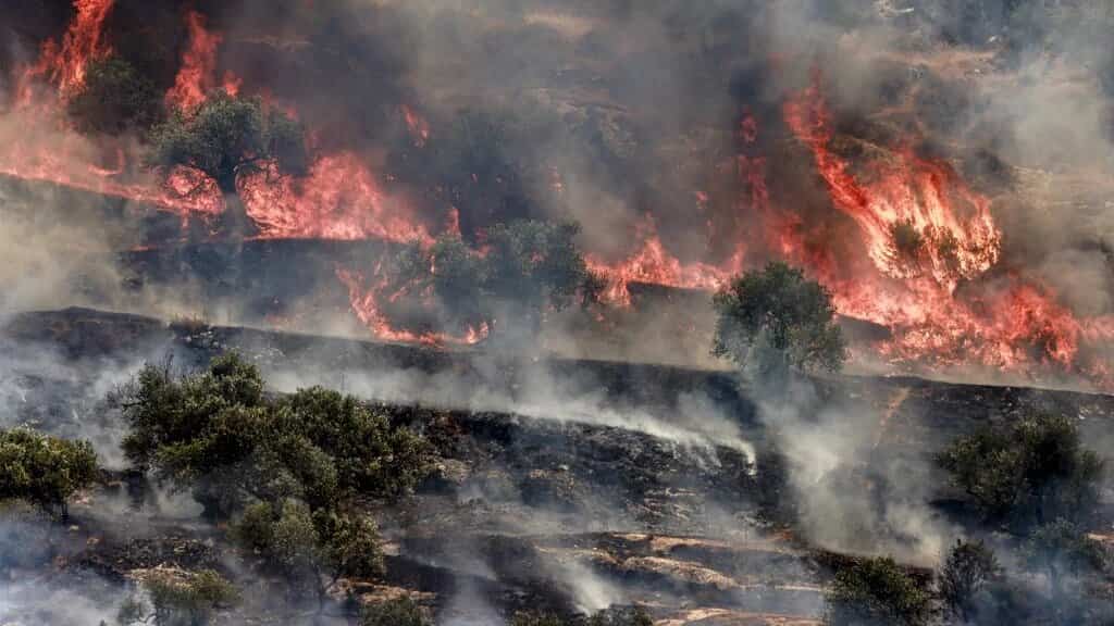 Israel's greenwashing agenda masks environmental damage in Palestine, report claims