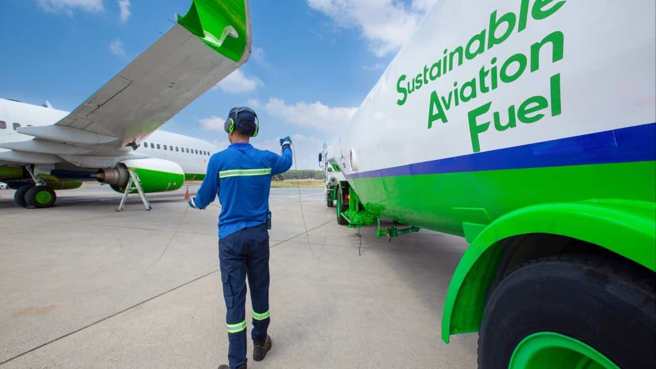 India's crop waste could fuel global airlines, study finds