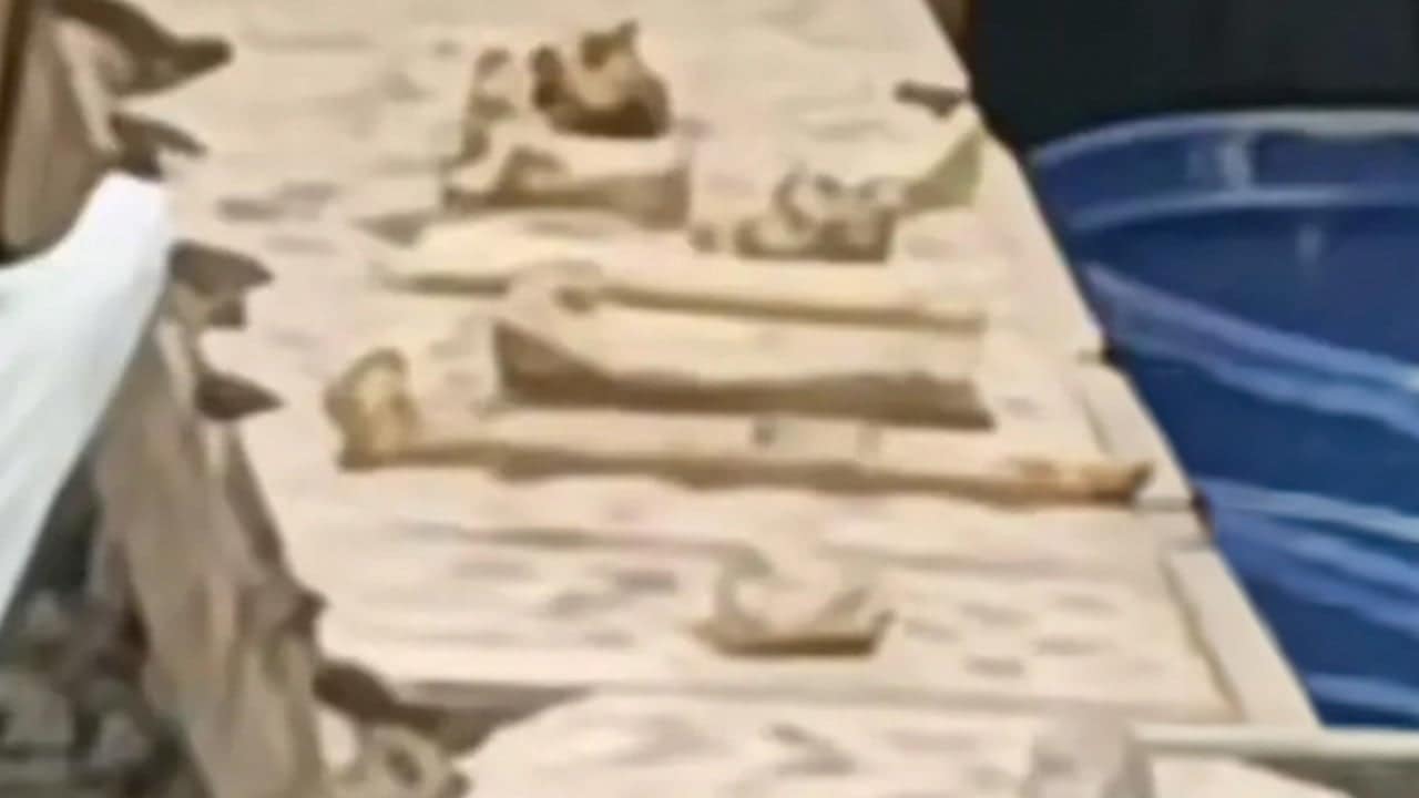 Chinese man arrested for rooftop grave hoax