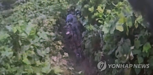 Soldier's statement points to possible unexploded land mine at DMZ blast site