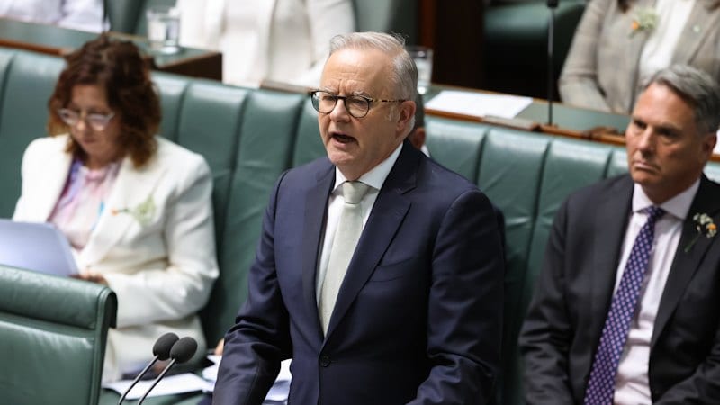 Albanese promises Australian MPs security upgrade after Haines attack