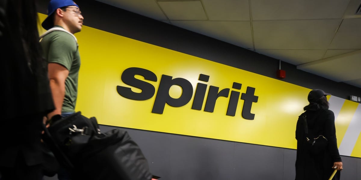 Consumer privacy official recommends approval of Google's bid for Spirit Airlines data