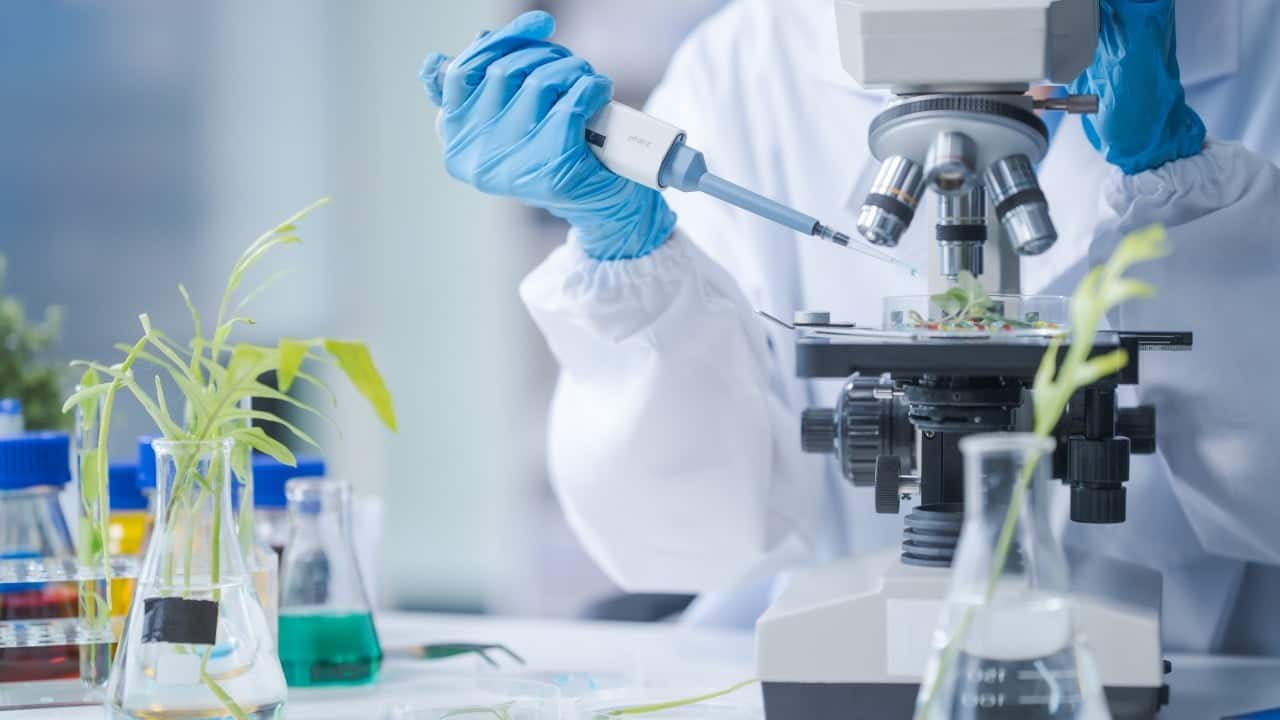 US biotech firm developing infant brain injury therapies plans Hong Kong listing
