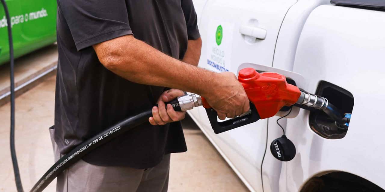 Japan to fund overseas biofuel projects for domestic energy security
