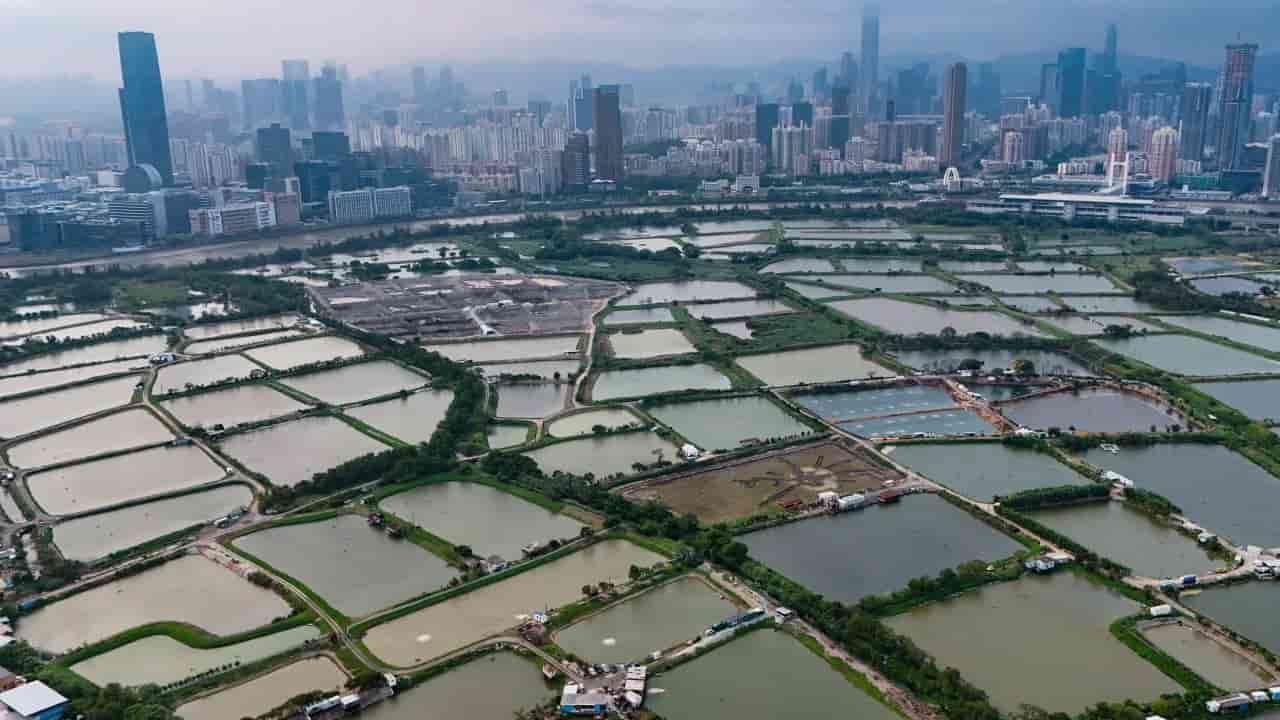 Hong Kong's Northern Metropolis fast-track laws to align with environmental rules