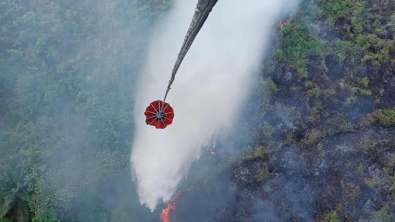 Indonesia's toxic haze crisis: Can land-burners be held accountable?