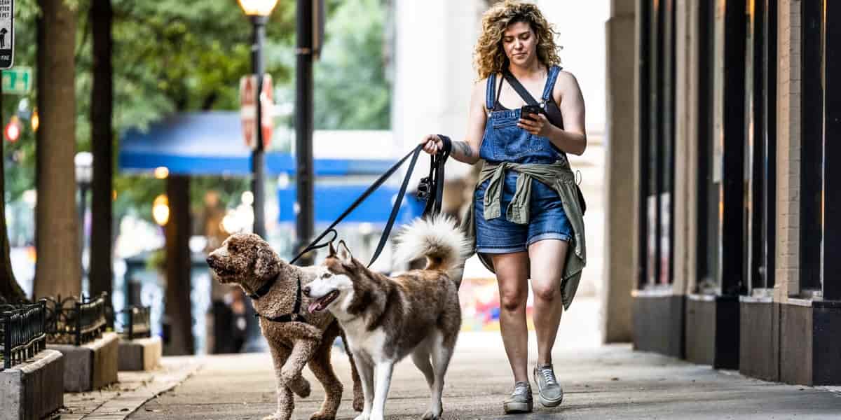 Middle-class Americans increasingly turning to side hustles for stability