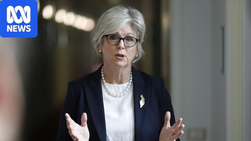 Australian MP Helen Haines injured in alleged attack outside office
