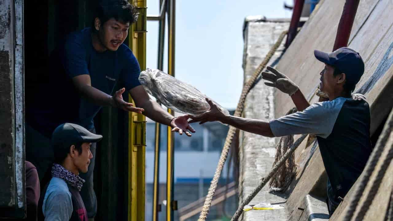 Indonesian migrant fishers ensnared in forced labor on high seas