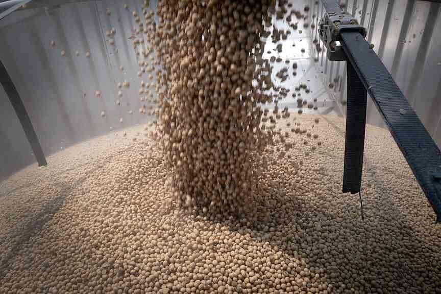 China Buys 13 U.S. Soybean Cargoes Amid Price Decline