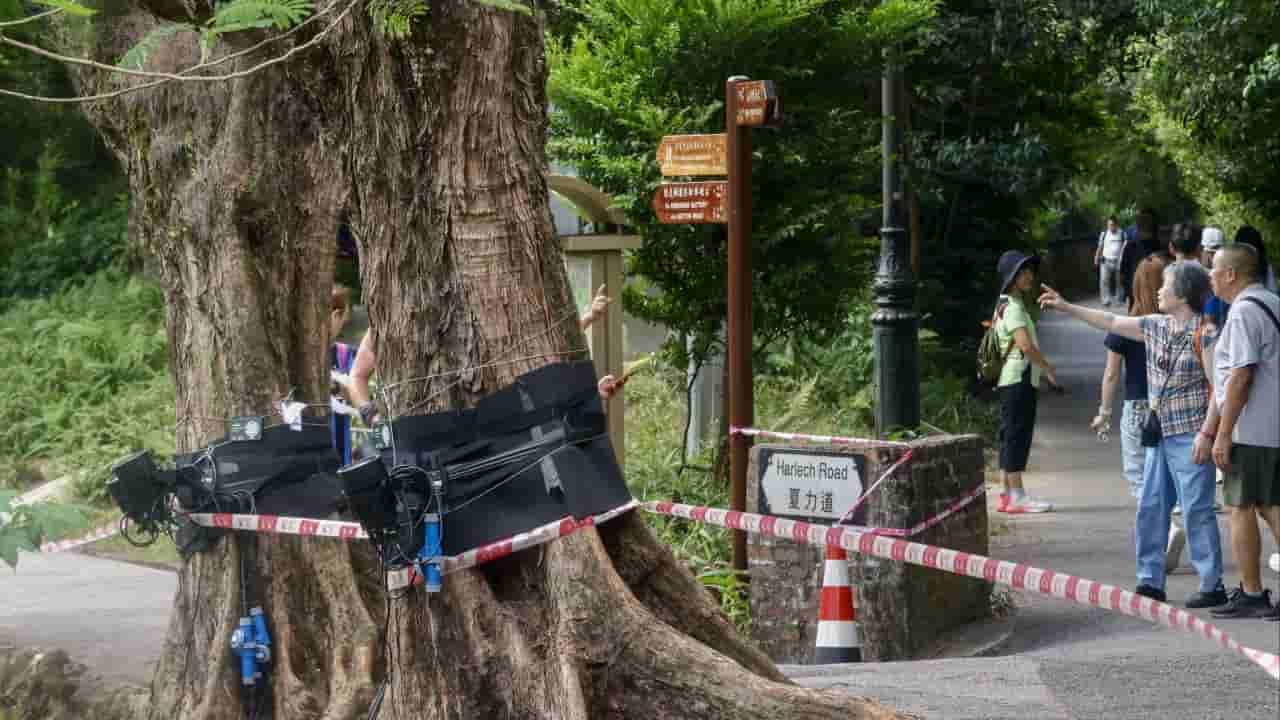 Hong Kong Tourism Board to review Peak lighting project after public outcry