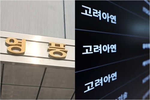 Young Poong loses shareholder suit against Korea Zinc