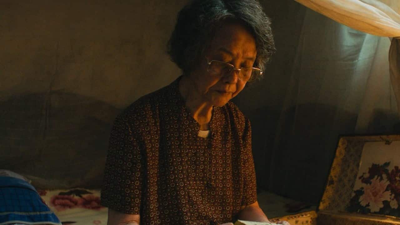 Beijing hosts diplomats for film screening to foster 'better understanding'