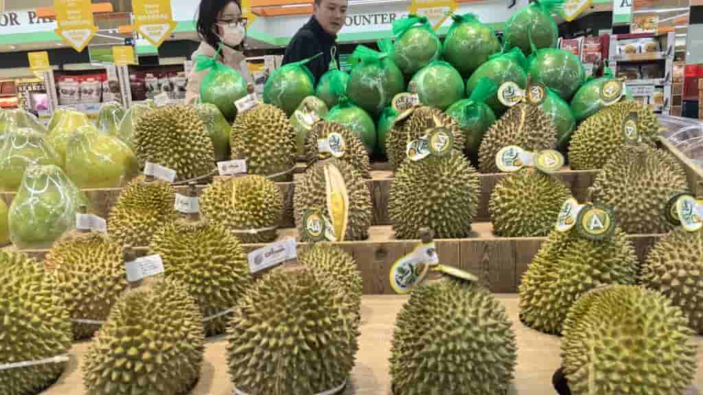 Durian prices plummet in Malaysia amid bumper harvest