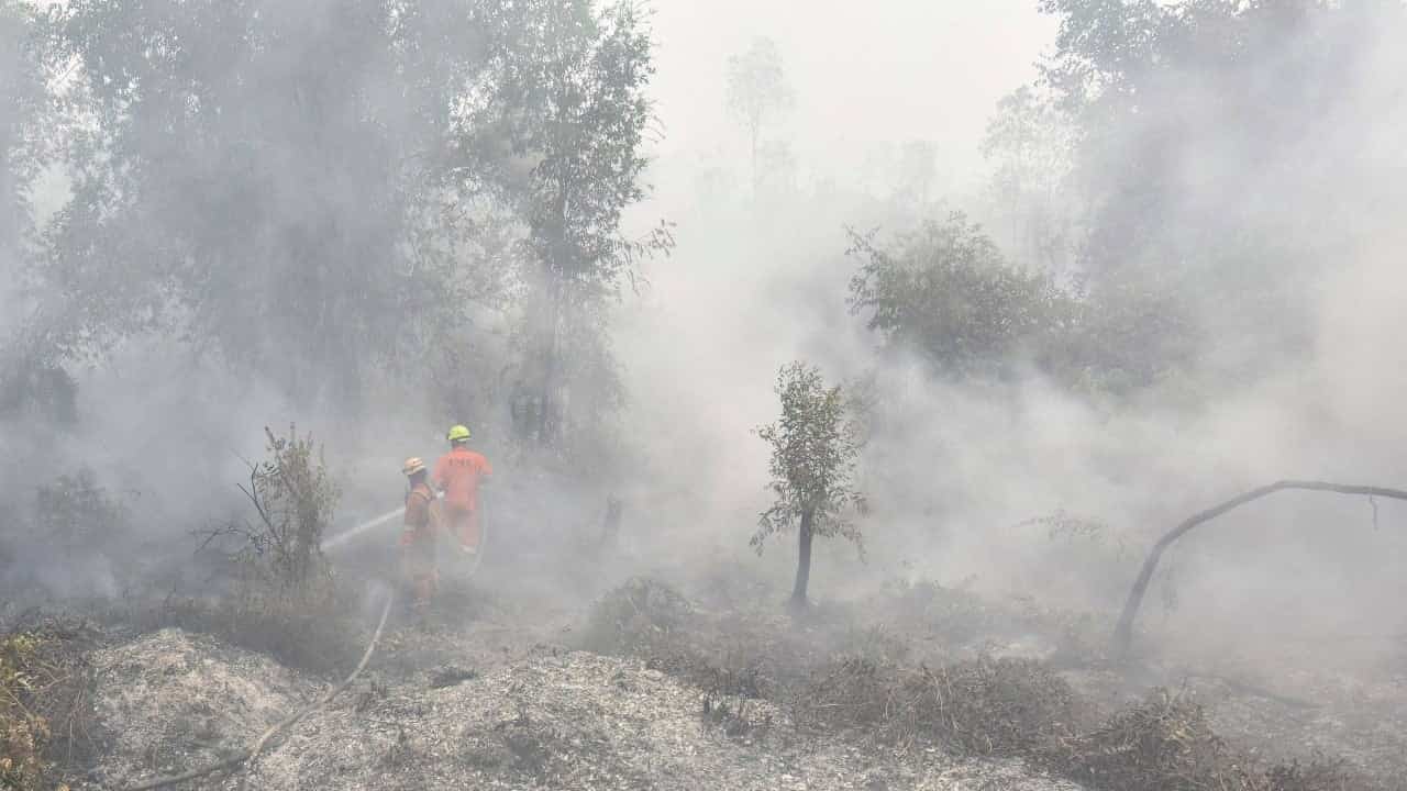 Indonesia wildfire haze triggers over 170,000 respiratory cases