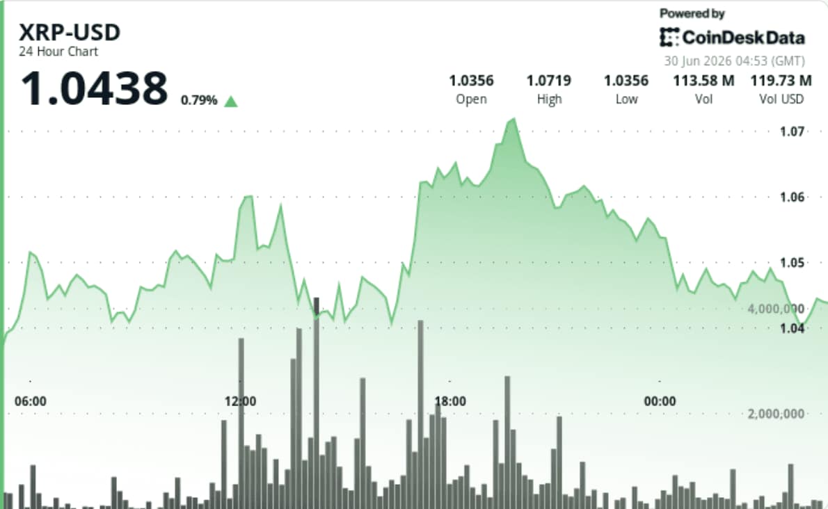 XRP Holds $1 Support Amid Rising Network Activity and Cleared Leverage