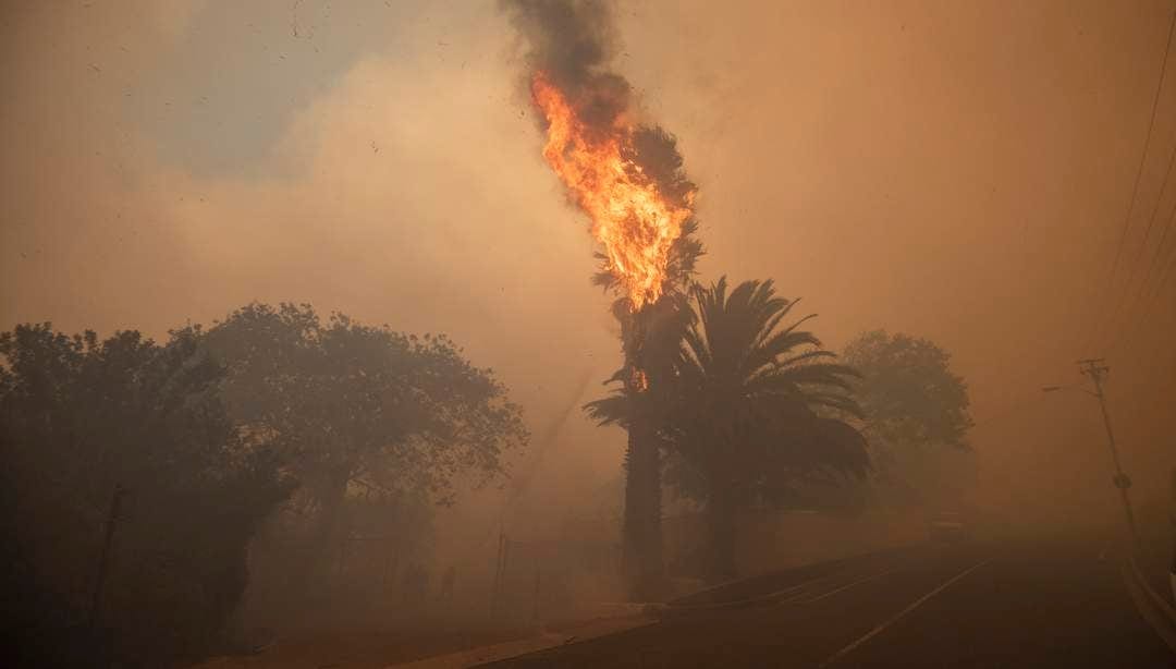 Spain wildfire: 11 dead, 19 missing as blaze rages
