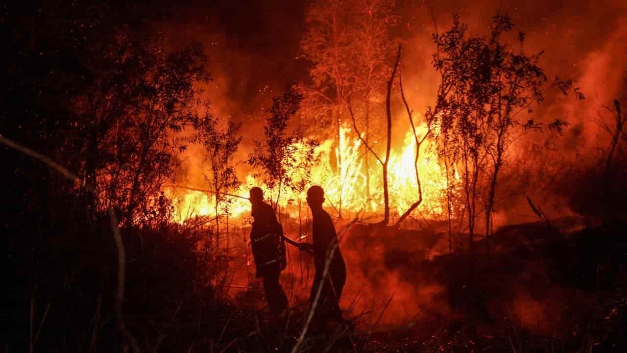Indonesian governor's Singapore trip adds fury to forest fire, haze crisis