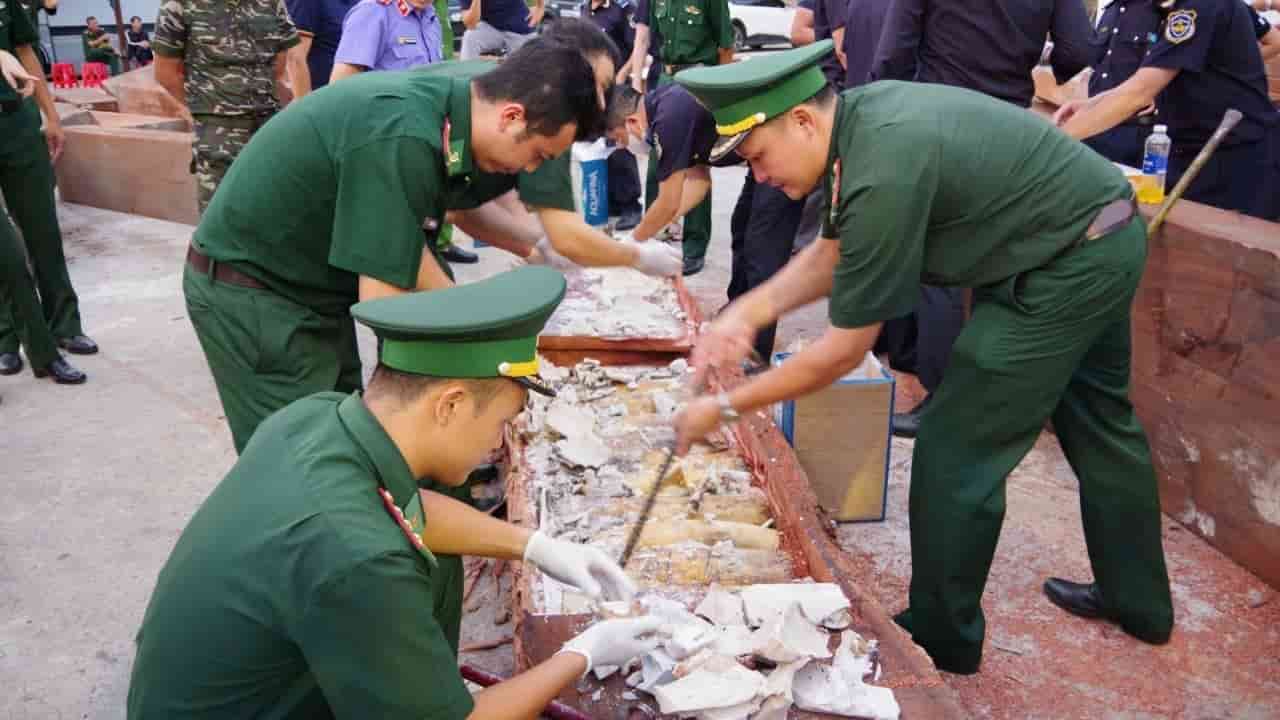 China's Ivory Ban Undermined by Vietnamese Trafficking Networks